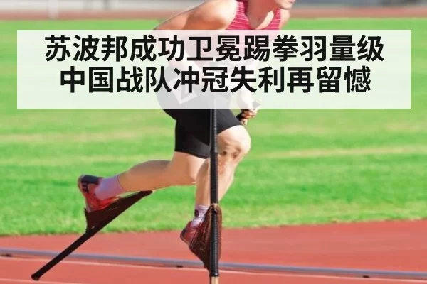 苏波邦成功卫冕踢拳羽量级 中国战队冲冠失利再留憾